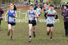 Boys under-13s, 2020 British Athletics Inter Counties Cross Country Champs., Prestwold Hall, Loughborough. Photo: David T. Hewitson/Sports for All Pics